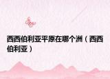 西西伯利亚平原在哪个洲（西西伯利亚）