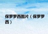 保罗罗西图片（保罗罗西）