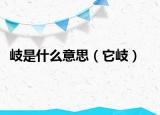 岐是什么意思（它岐）