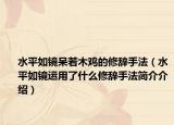 水平如镜呆若木鸡的修辞手法（水平如镜运用了什么修辞手法简介介绍）