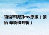 领悟辛晓琪mv原版（领悟 辛晓琪专辑）