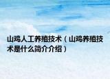 山鸡人工养殖技术（山鸡养殖技术是什么简介介绍）