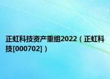 正虹科技资产重组2022（正虹科技[000702]）