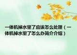一体机掉水里了应该怎么处理（一体机掉水里了怎么办简介介绍）