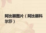 阿比丽图片（阿比丽科尔莎）