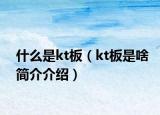 什么是kt板（kt板是啥简介介绍）