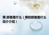 旁,部首是什么（旁的部首是什么简介介绍）