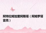 阿特拉姆加里阿斯塔（阿姆罗塔雷克）