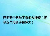 怀孕五个月肚子有多大视频（怀孕五个月肚子有多大）