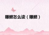曝鳃怎么读（曝鳃）