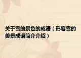 关于雪的景色的成语（形容雪的美景成语简介介绍）