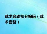 武术套路扣分编码（武术套路）