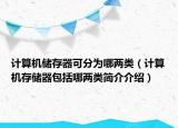 计算机储存器可分为哪两类（计算机存储器包括哪两类简介介绍）