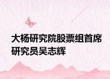 大杨研究院股票组首席研究员吴志辉