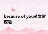 because of you英文歌原唱