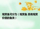 观赏鱼可分为（观赏鱼 具有观赏价值的鱼类）
