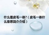 什么是皮毛一体?（皮毛一体什么意思简介介绍）