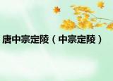 唐中宗定陵（中宗定陵）