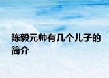 陈毅元帅有几个儿子的简介