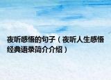 夜听感悟的句子（夜听人生感悟经典语录简介介绍）