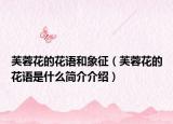 芙蓉花的花语和象征（芙蓉花的花语是什么简介介绍）