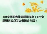 dnf女圣职者技能刷图加点（dnf女圣职者加点怎么做简介介绍）
