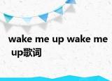 wake me up wake me up歌词