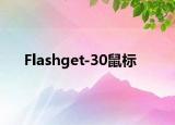 Flashget-30鼠标