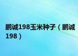鹏诚198玉米种子（鹏诚198）