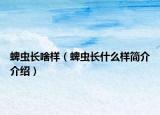 蜱虫长啥样（蜱虫长什么样简介介绍）