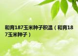 和育187玉米种子积温（和育187玉米种子）