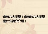 病句八大类型（病句的八大类型是什么简介介绍）
