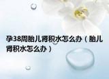 孕38周胎儿肾积水怎么办（胎儿肾积水怎么办）