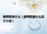 磷钾肥有什么（磷钾肥是什么简介介绍）