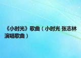 《小时光》歌曲（小时光 张志林演唱歌曲）