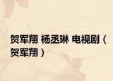 贺军翔 杨丞琳 电视剧（贺军翔）