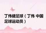 丁伟健足球（丁伟 中国足球运动员）