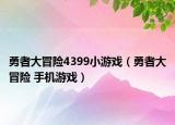勇者大冒险4399小游戏（勇者大冒险 手机游戏）
