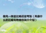 像风一样是比喻还是夸张（风像什么的比喻句有哪些简介介绍）