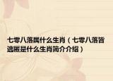 七零八落属什么生肖（七零八落皆逃匿是什么生肖简介介绍）