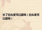 长了白头发可以拔吗（白头发可以拔吗）