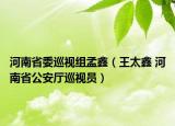 河南省委巡视组孟鑫（王太鑫 河南省公安厅巡视员）
