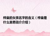 梓童的女孩名字的含义（梓童是什么意思简介介绍）
