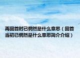 再回首时已惘然是什么意思（回首当初已惘然是什么意思简介介绍）