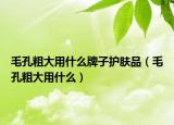 毛孔粗大用什么牌子护肤品（毛孔粗大用什么）