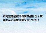 不同玫瑰的花语与寓意是什么（玫瑰的花语和象征意义简介介绍）