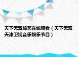 天下无双综艺在线观看（天下无双 天津卫视音乐娱乐节目）