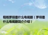 程皓罗玥是什么电视剧（罗玥是什么电视剧简介介绍）