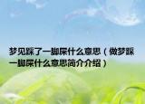 梦见踩了一脚屎什么意思（做梦踩一脚屎什么意思简介介绍）