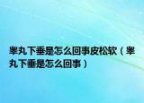 睾丸下垂是怎么回事皮松软（睾丸下垂是怎么回事）